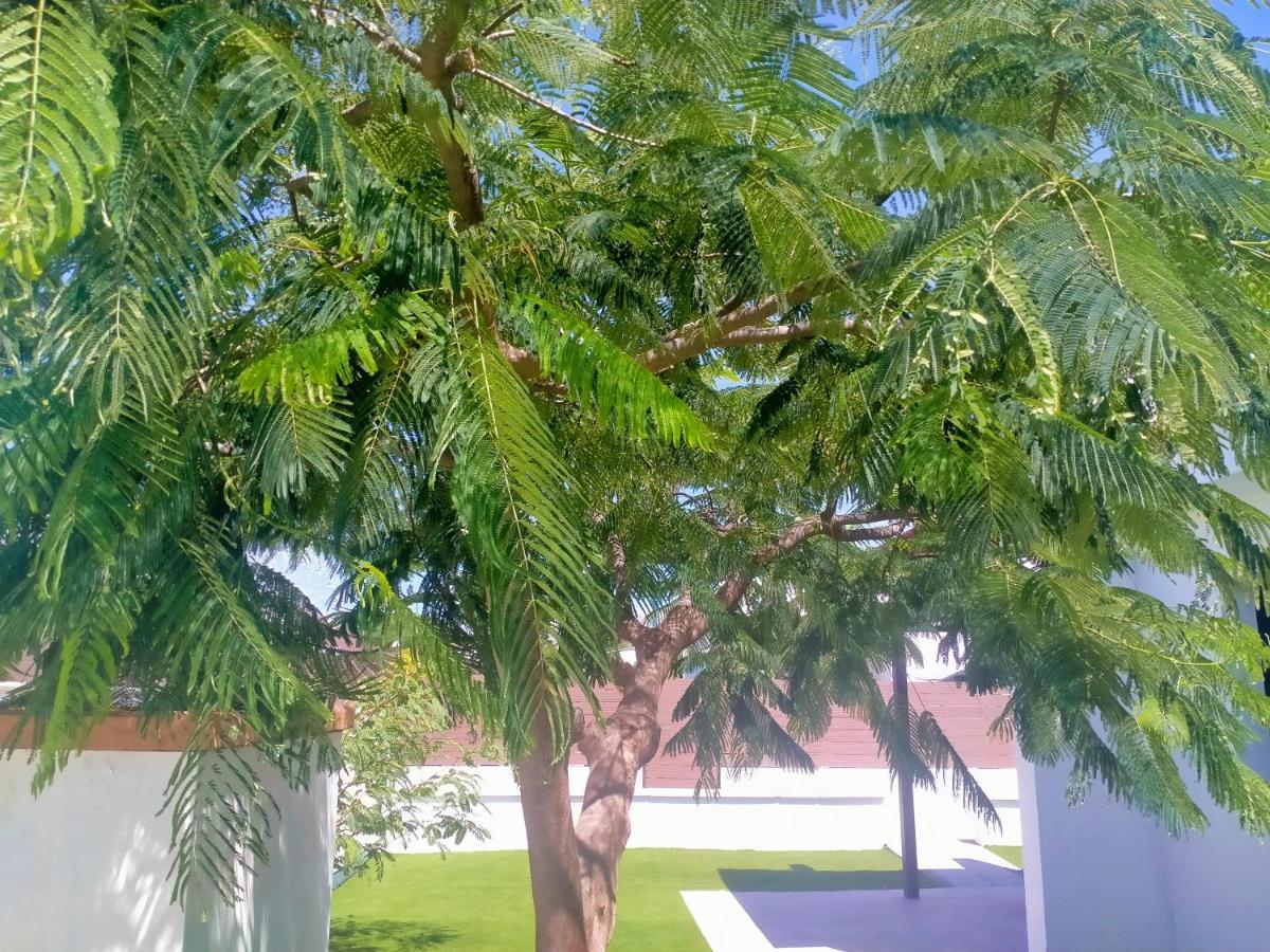 Bungalow Colorado With Garden #4 San Bartolome Bagian luar foto